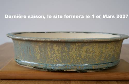 Poterie bonsai REF:471/1337	