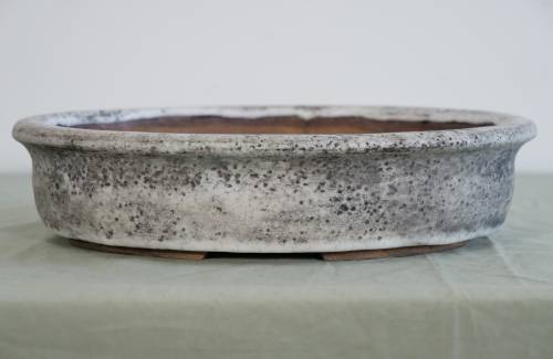 Poterie bonsai REF:426/1255	