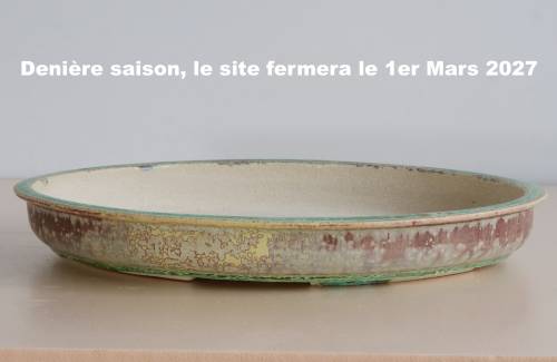 Poterie bonsai REF:382/1315	