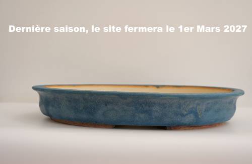Poterie bonsai REF:410/1320	