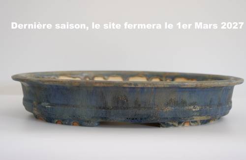 Poterie bonsai REF:429/1327	