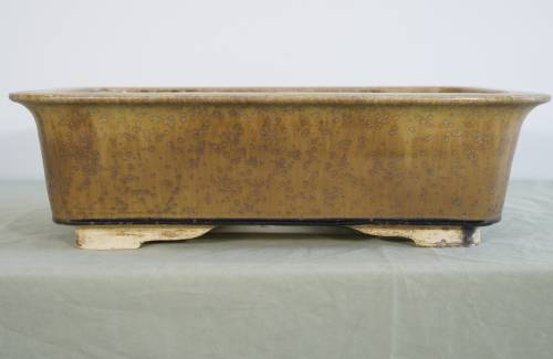 Poterie bonsai REF:442/1266	