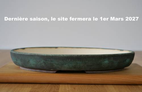 Poterie bonsai REF:474/1339	