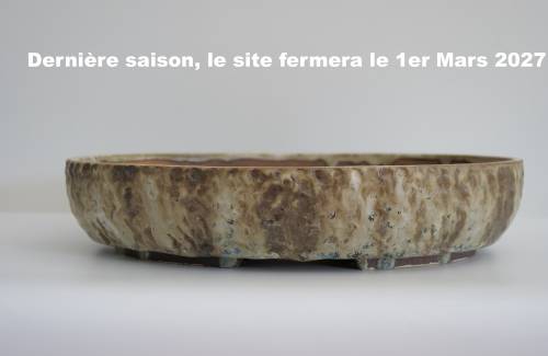 Poterie bonsai REF:414/1322	