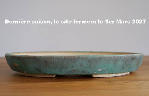Poterie bonsai REF:469/1336	