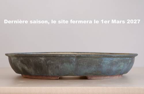 Poterie bonsai REF:448/1331	