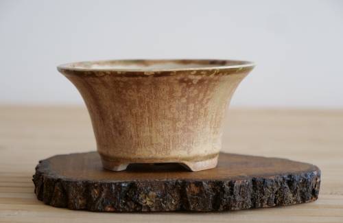 Poterie bonsai REF:4/1039	