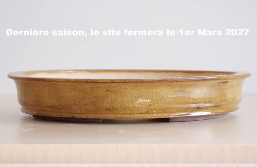 Poterie bonsai REF:449/1332	