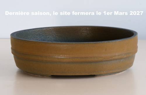 Poterie bonsai REF:413/1321	