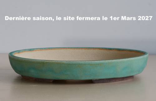 Poterie bonsai REF:451/1333	