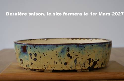 Poterie bonsai REF:424/1325	