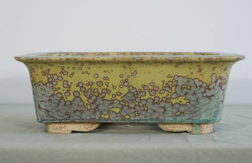 Poterie bonsai REF:443/1267	