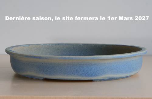 Poterie bonsai REF:423/1324	