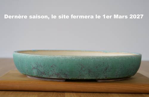 Poterie bonsai REF:380/1314	