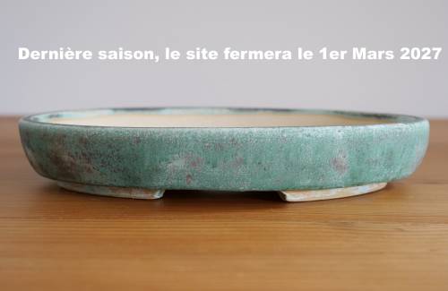 Poterie bonsai REF:467/1335	