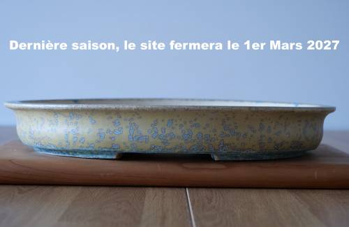 Poterie bonsai REF:476/1340	