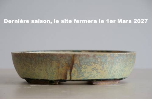 Poterie bonsai REF:430/1328	