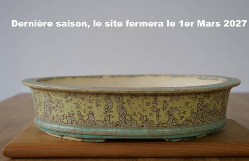 Poterie bonsai REF:421/1323	