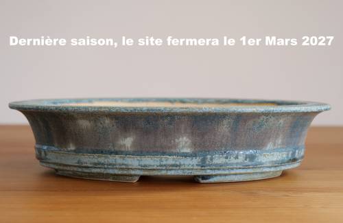 Poterie bonsai REF:465/1334	