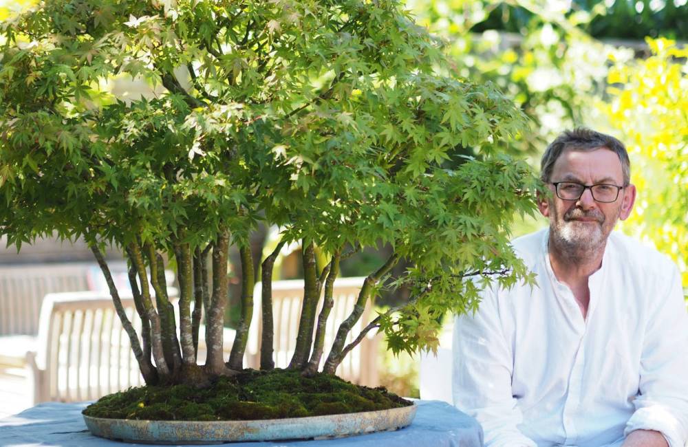 Bruno Auvinet, céramiste bonsai