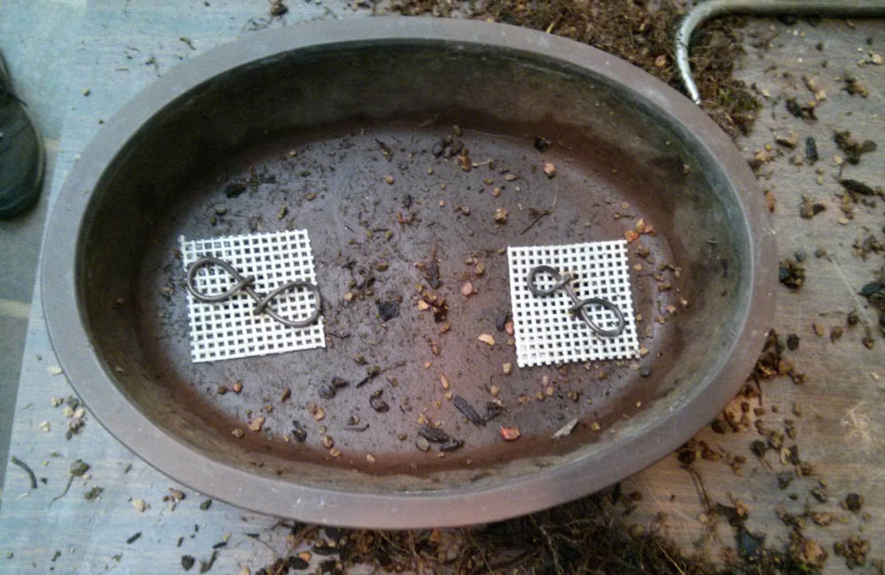 Fixation des grilles de drainage au fond d'un pot à bonsai