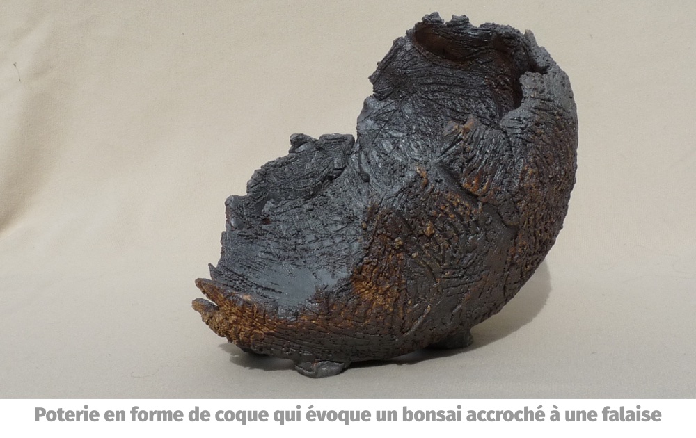 Poterie en forme de coque qui évoque un bonsai accroché à une falaise