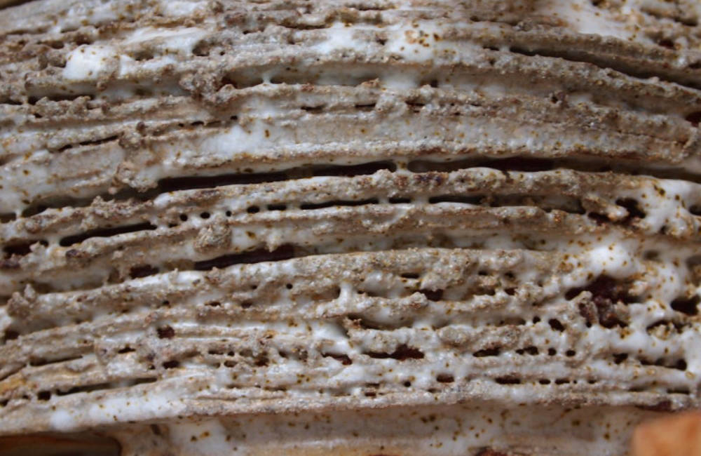 Texture céramique bonsai 01