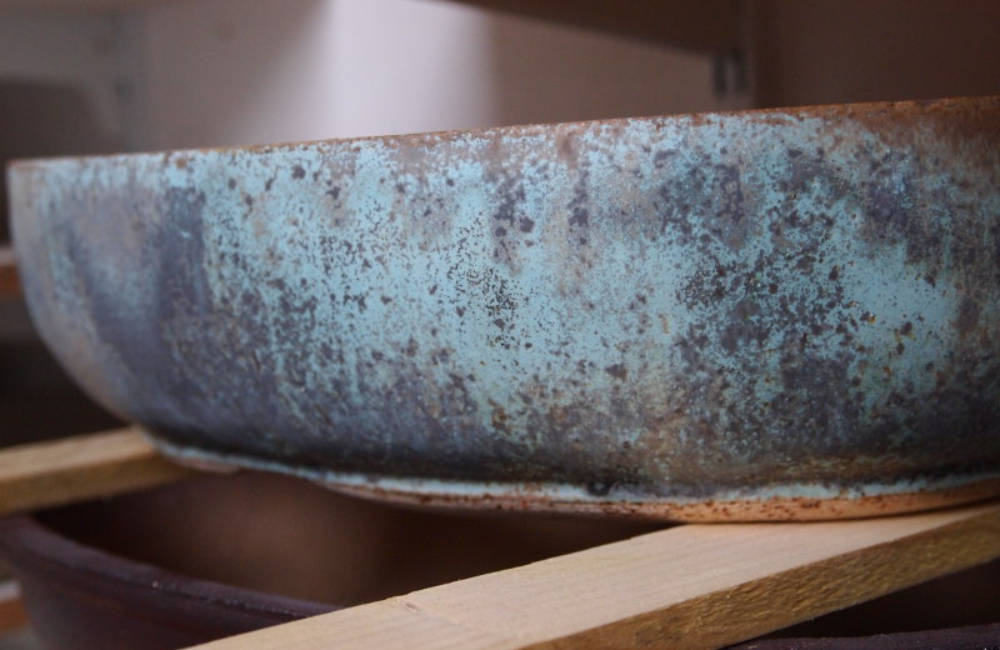 Texture céramique bonsai 02