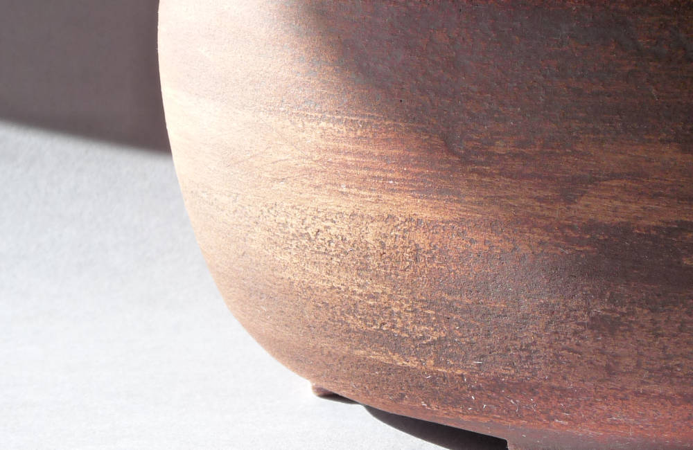 Texture céramique bonsai 05