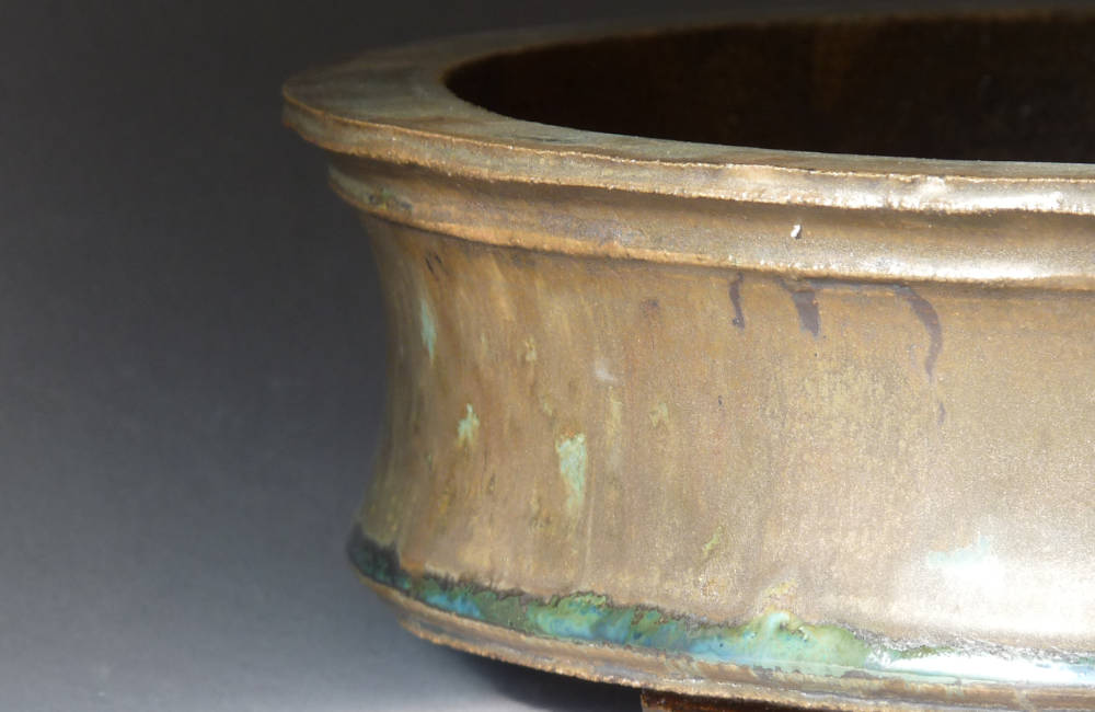 Texture céramique bonsai 09