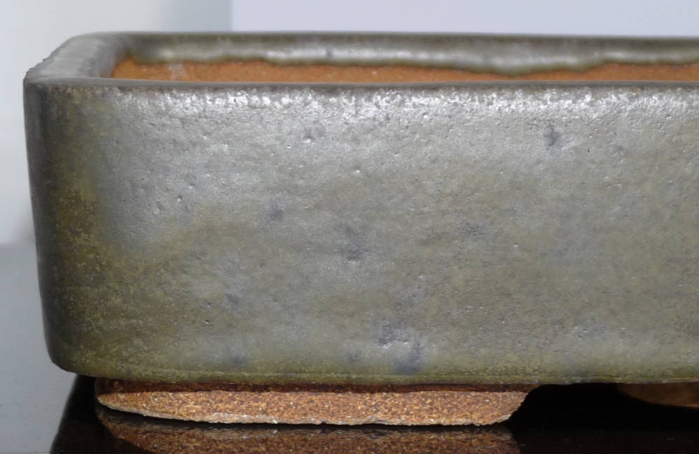 Texture céramique bonsai 15