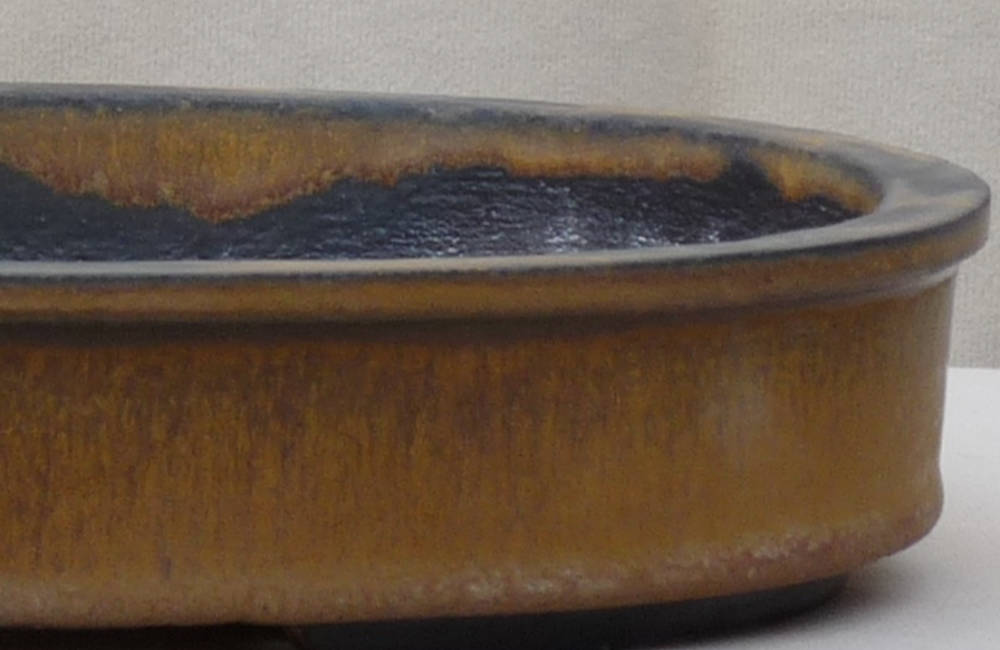 Texture céramique bonsai 17