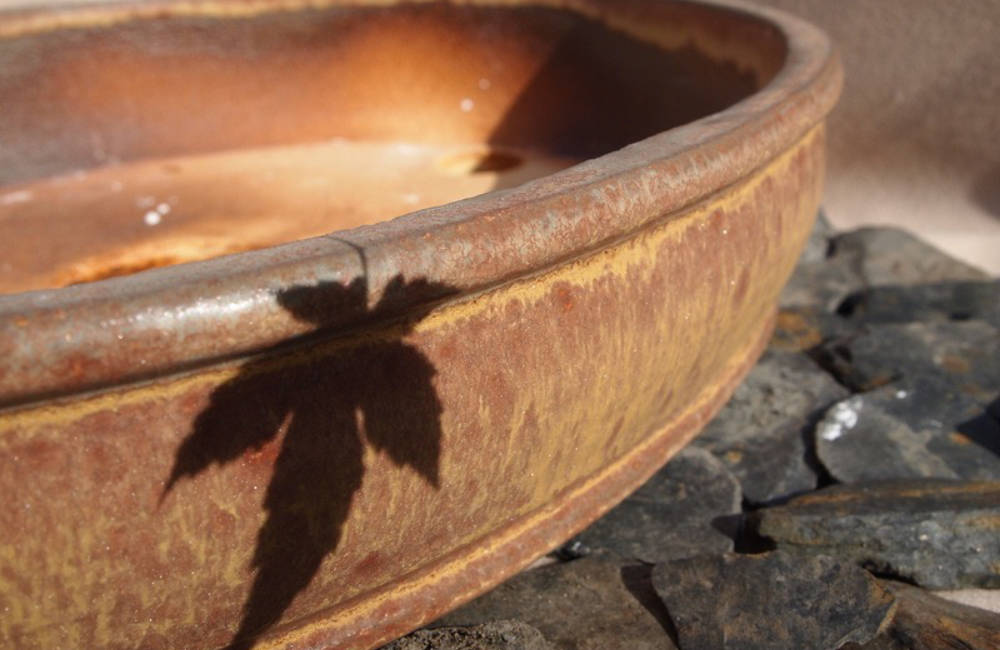 Texture céramique bonsai 18