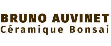 Bruno Auvinet - Poterie Bonsai
